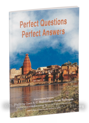 Perfect Questions Perfect Answers