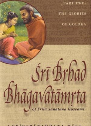Sri Brhad Bhagavatamrta - 3 Volume Set