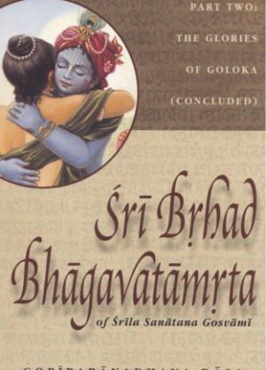 Sri Brhad Bhagavatamrta - 3 Volume Set