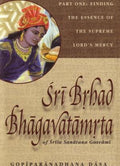 Sri Brhad Bhagavatamrta - 3 Volume Set